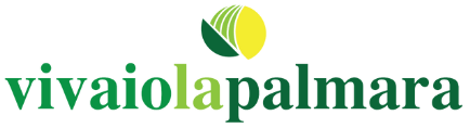 DigitalGreen-logo