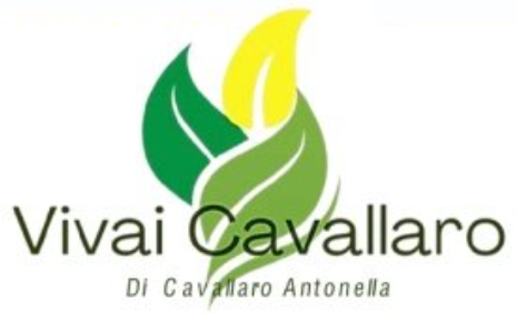 DigitalGreen-logo