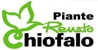 DigitalGreen-logo