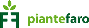 DigitalGreen-logo