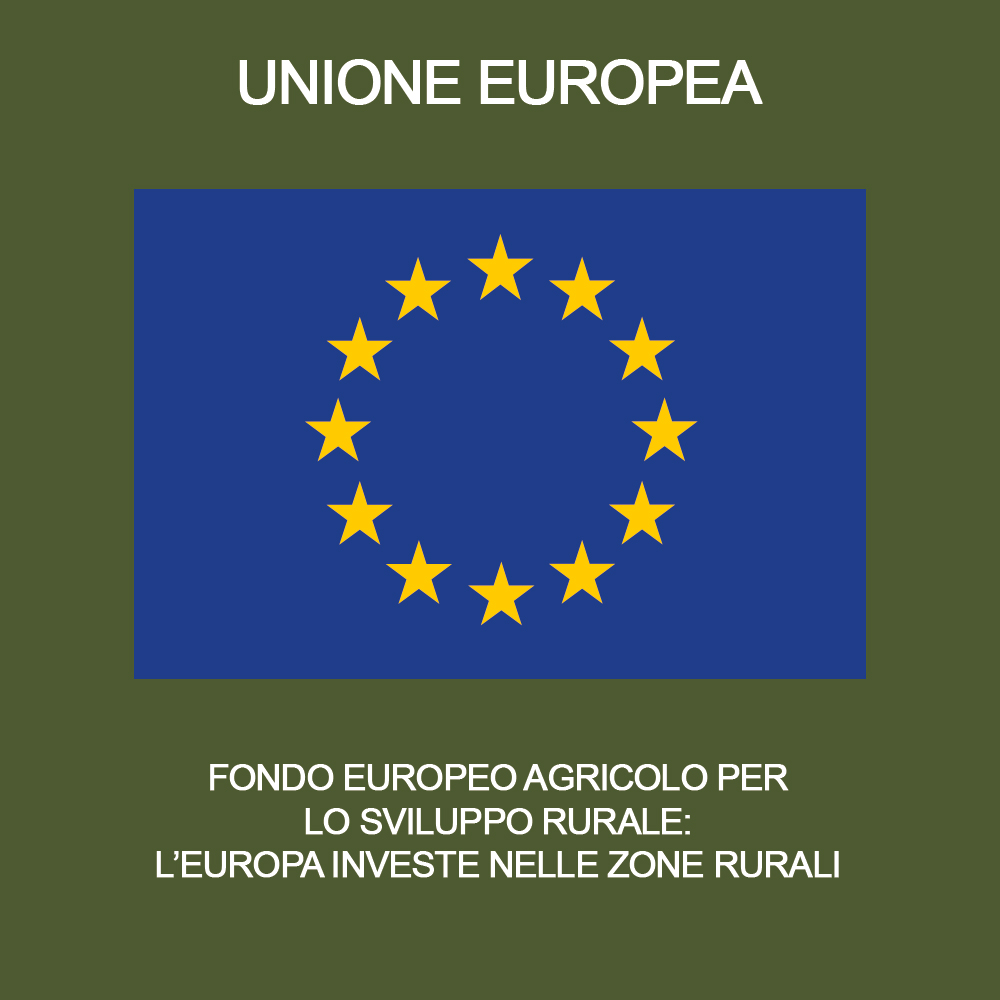 Unione Europea